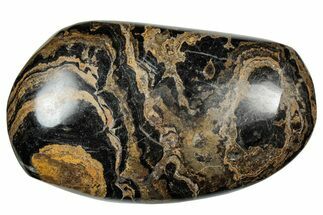 Polished Stromatolite (Greysonia) Pebble - Bolivia #302489