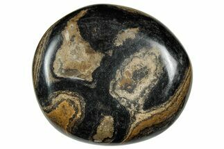 Polished Stromatolite (Greysonia) Pebble - Bolivia #302495