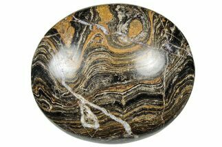 Polished Stromatolite (Greysonia) Pebble - Bolivia #302509