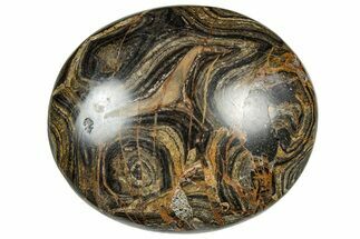 Polished Stromatolite (Greysonia) Pebble - Bolivia #302526