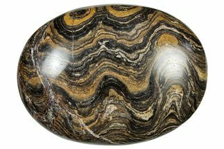 Polished Stromatolite (Greysonia) Pebble - Bolivia #302530