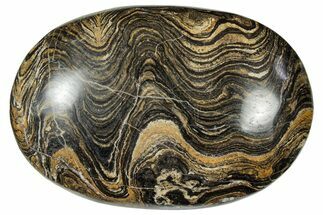 Polished Stromatolite (Greysonia) Stone - Bolivia #302543