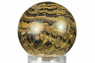 Polished Stromatolite (Greysonia) Sphere - Bolivia #302443