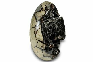 Septarian Dragon Egg Geode - Black Crystals #302861