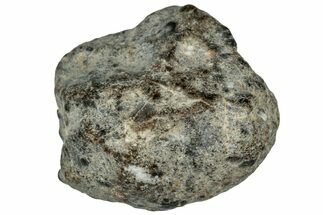 Lunar Meteorite ( g) - NWA #302741