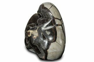 Free-Standing, Polished Septarian Geode - Black Crystals #302875