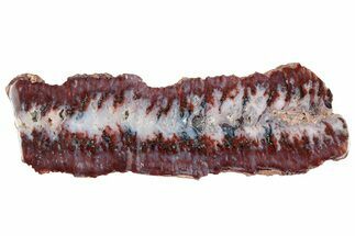 Polished Sicat Plume Agate Slab - Cady Mountains, California #302894