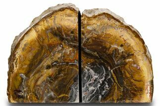 Tall Colorful Petrified Wood Bookends - Madagascar #303574