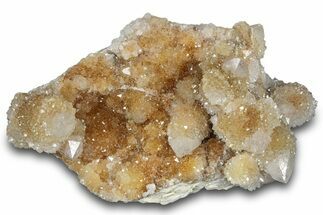 Sparkling Cactus Quartz Crystal Cluster - South Africa #303474