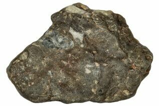 Touat 008 Meteorites For Sale
