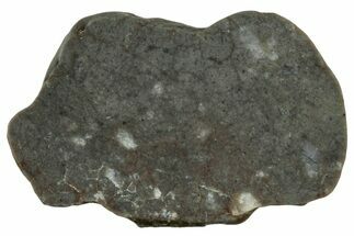 Lunar Meteorite ( g) Slice - Touat #303640