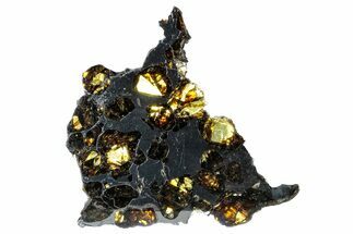 Polished Pallasite Meteorite ( g) Slice - NWA #303828