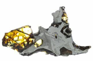 Polished Pallasite Meteorite ( g) Slice - NWA (Prov) #303842