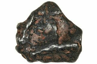 Agoudal Iron Meteorite ( g) - Morocco #303918