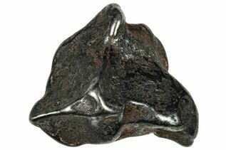 Agoudal Meteorites For Sale