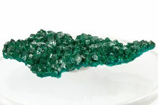 Lustrous Dioptase Crystal Epimorph - Congo #303841