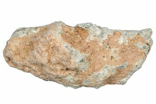 Lunar Meteorite Fragment ( g) - NWA #304077