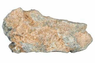 Lunar Meteorite Fragment ( g) - NWA #304119