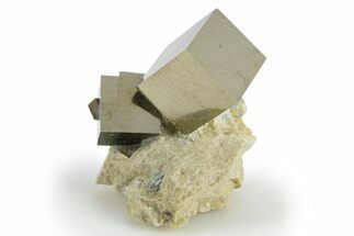 Two Natural Pyrite Cubes In Rock - Navajun, Spain #304006