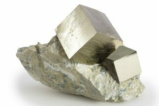 Two Natural Pyrite Cubes In Rock - Navajun, Spain #304029