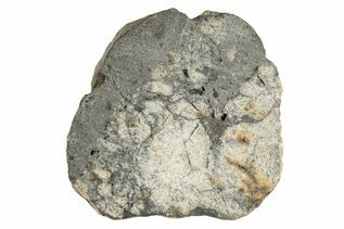 Eucrite Meteorites For Sale