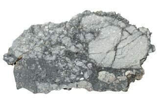 Gadamis Apollo Lunar Meteorite ( g) Slice #304307