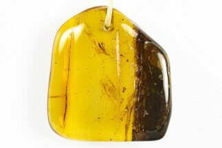 Polished Chiapas Amber ( g) Necklace - Mexico #304349