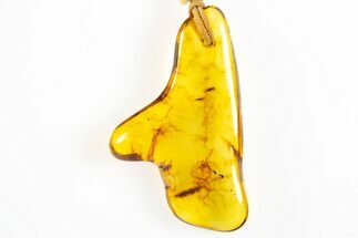 Polished Chiapas Amber ( g) Necklace - Mexico #304368