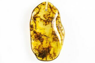 Polished Chiapas Amber ( g) Necklace - Mexico #304392