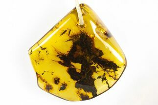 Polished Chiapas Amber ( g) Necklace - Mexico #304347