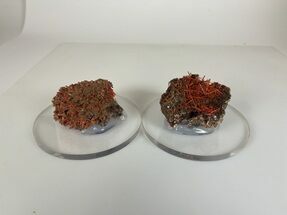 Bright Orange Crocoite Crystal Clusters - Tasmania #305353