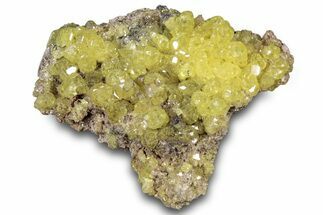 Bright-Yellow Sulfur Crystals - Bolivia #305284