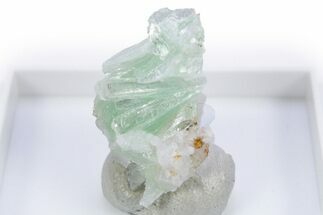 Sea Foam Green Pyrophyllite Crystal Aggregation - Switzerland #305436