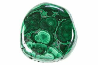 Polished Banded Malachite Specimen - DR Congo #305219