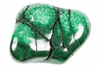 Flowery Polished Malachite Specimen - DR Congo #305223