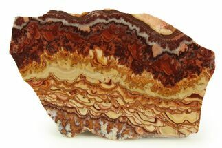 Polished Slab Of Rolling Hills Dolomite - Mexico #303059