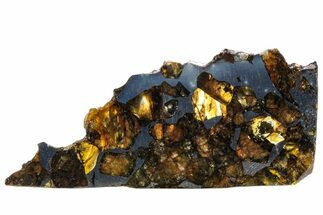 Seymchan Pallasite Meteorite Slice ( g) - Russia #305569