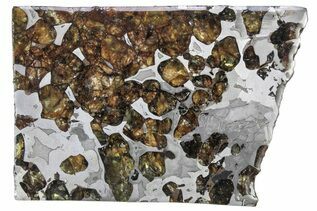 Pallasite Meteorites For Sale