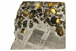 Seymchan Pallasites For Sale