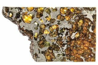 Seymchan Pallasite Meteorite Slice ( g) - Russia #305587