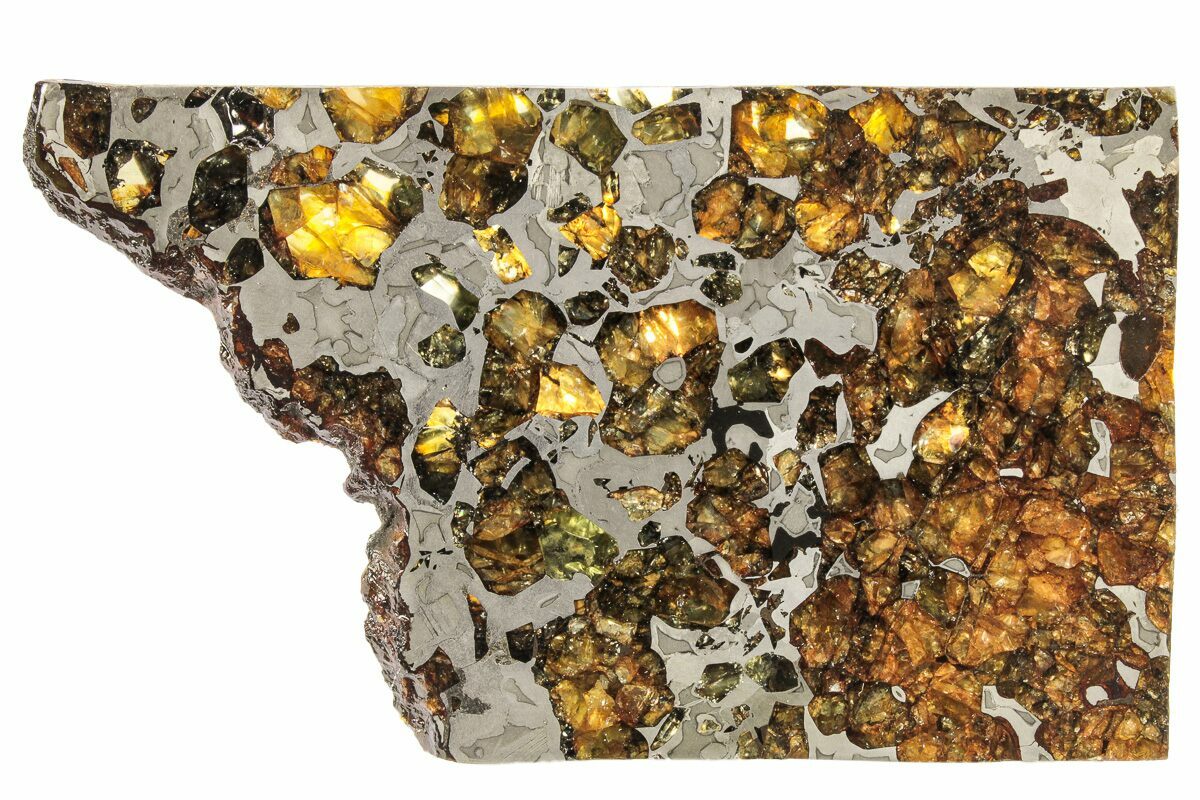 Seymchan pallasite meteorite sale