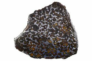 Polished Sericho Pallasite Meteorite ( g) Slice - Kenya #305724