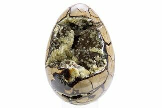 Septarian Dragon Egg Geode - Black and Yellow Crystals #305831