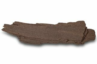 Permineralized Wood Covered In Sparkling Quartz - Germany #307003