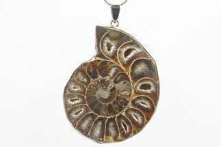 Fossil Ammonite Pendant - Million Years Old #306466