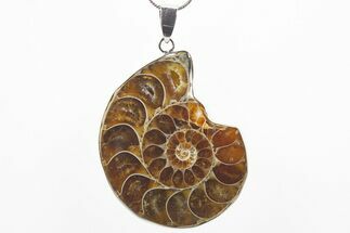 Fossil Ammonite Pendant - Million Years Old #306432