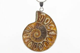 Fossil Ammonite Pendant - Million Years Old #306384