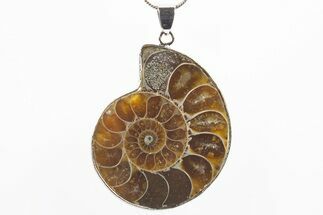 Fossil Ammonite Pendant - Million Years Old #306388