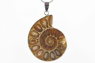 Fossil Ammonite Pendant - Million Years Old #306392