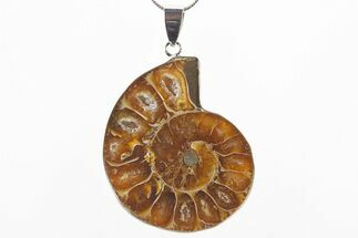 Fossil Ammonite Pendant - Million Years Old #306397